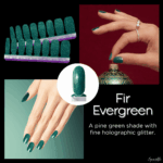 Fir Evergreen